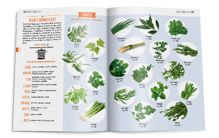 Double-page de recettes dico toute la cuisine