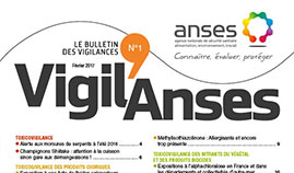 Newsletter Vigil'Anses